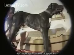 Goth chick acquires fucked by large dark dog 